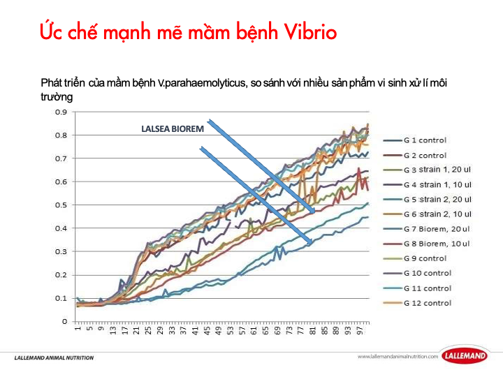 Biểu đồ ức chế mầm bệnh Vibrio với LALSEA BIOREM