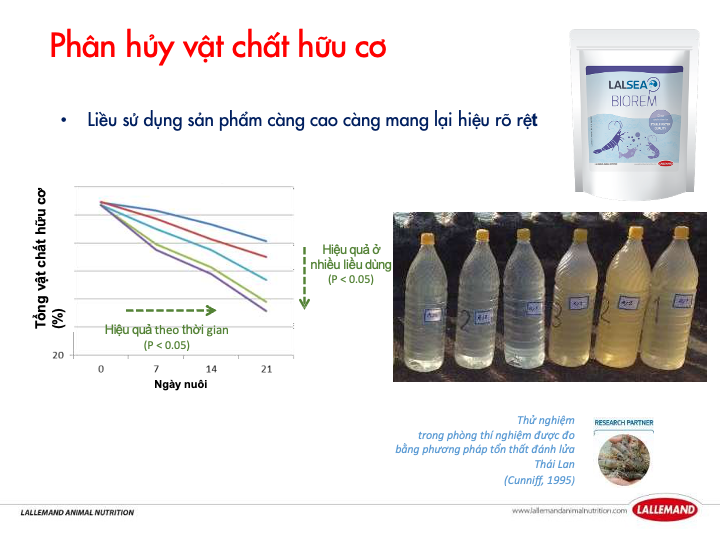 Biểu đồ phân hủy vật chất hữu cơ với LALSEA BIOREM